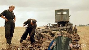 21-03-2025 Земля целинная (кавер)баян.муз.Е.Родыгина