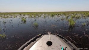 Охота на сазана - 3 CrossBow Fishing