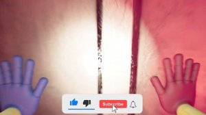 Huggy Wuggy runs away from me! Poppy Playtime