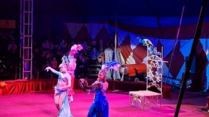 Цирковое выступление со змеями.Цирк шапито"Империя Хищников"г.Красногорск-15.03.2025 год.