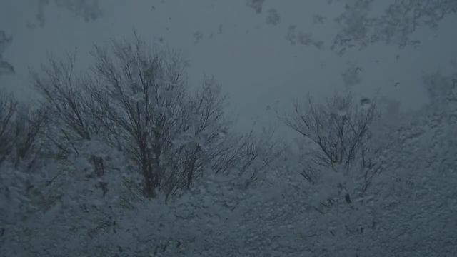 Frostwork -  Frozen Veins Shed No Blood