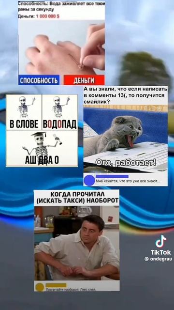 мемы