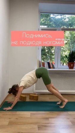 Собака Мордой Вниз | Адхо Мукха Шванасана #асаны #йогаайенгара #хатхайога #здороваяспина