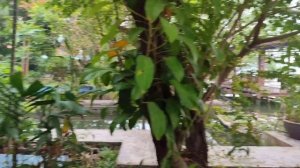 Остановка на завтрак 21.03.25.