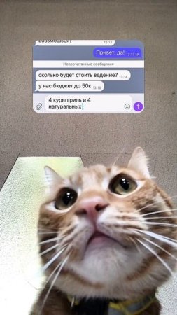 Нам нужен SMMщик