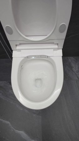 Умный унитаз-биде Brunnen