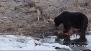 когда попросил друга поделится😂