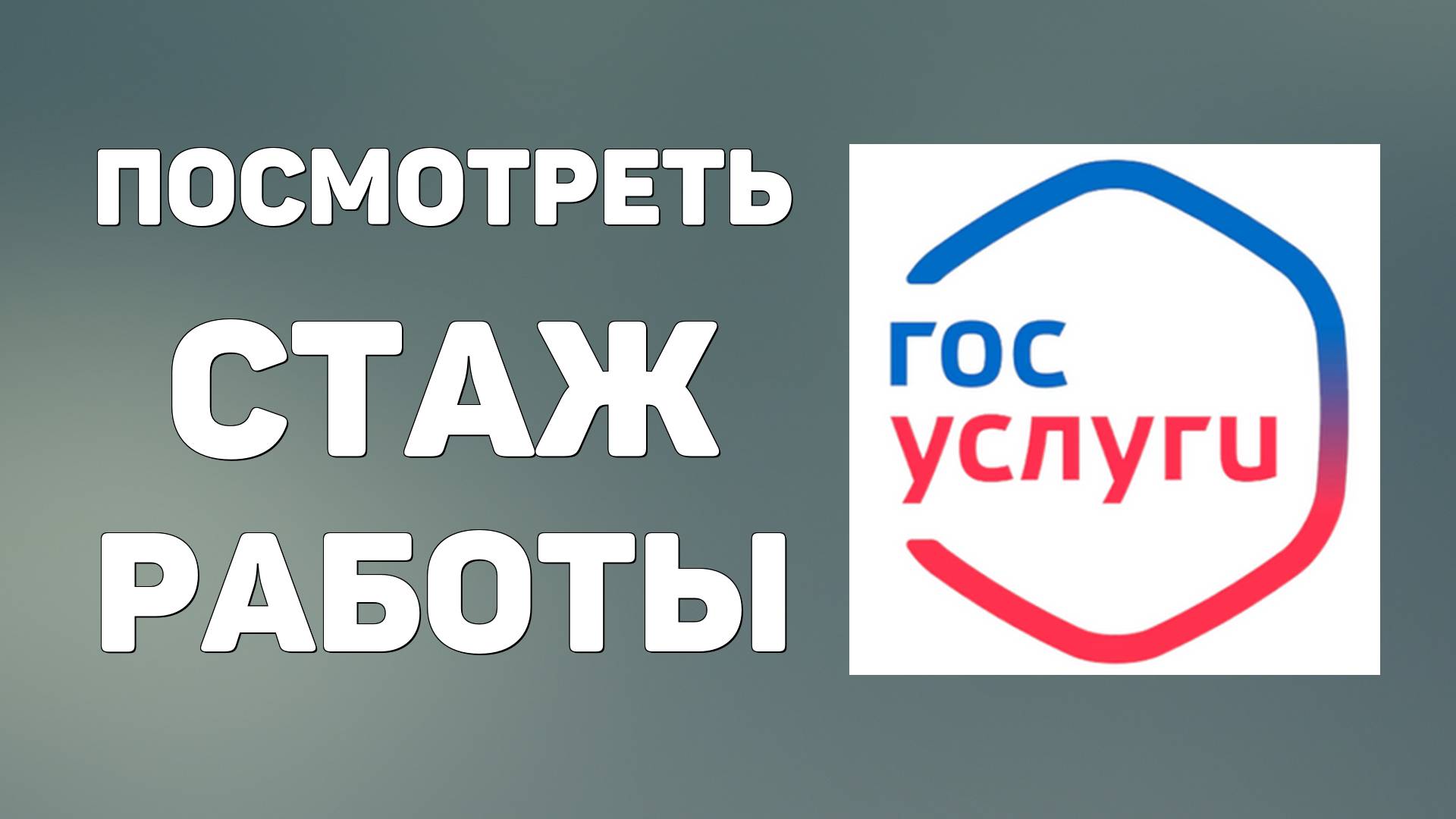 Как на госуслугах посмотреть стаж работы