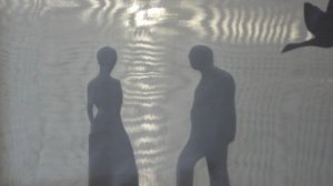 беля гусыня