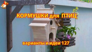 Кормушка для птиц своими руками как сделать пошагово  (127) 🪚🪛🔨 Идеи для дачи и сада❣️