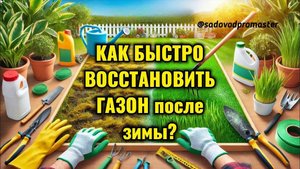 🌿 Как быстро восстановить газон после зимы? 5 простых шагов для идеального результата!