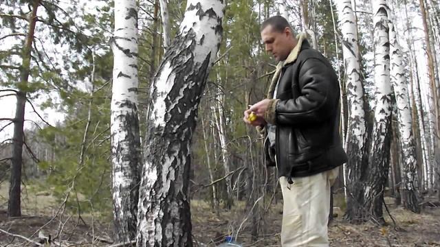 Сбор берёзового сока с помощью Инфузионной системы. ( капельницы ).Отличный способ смотреть онлайн