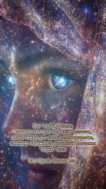 Свет Ясности #shorts #world #семинар #reels #любовь #silence #просветление #пробуждениесознания