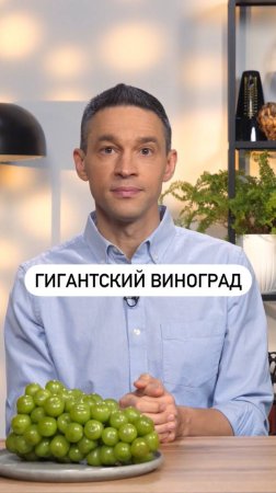 Новый гигантский сорт винограда Shine Muscat: вкусный, но не очень полезный.
Пробую в новом ролике!