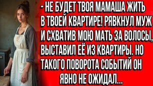 Не будет твоя мамаша жить в твоей квартире! Рявкнул муж, и cхватив мою мать за волосы, выставил