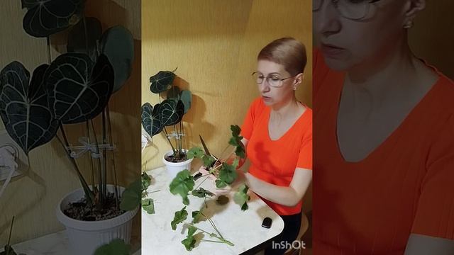 1000003964.mp4