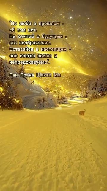 Всегда оставайся в настоящем #shorts #world #пробуждениесознания #просветление #семинар #любовь