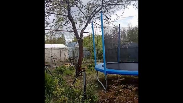 Батут для внуков