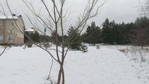 Земельный участок в Ямном.