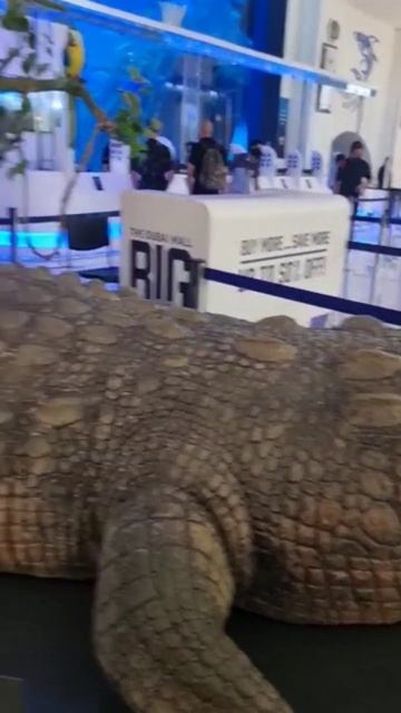 15 November 2022 смотреть онлайн