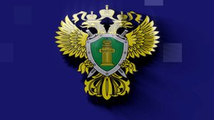 Мошенничество с банковскими картами