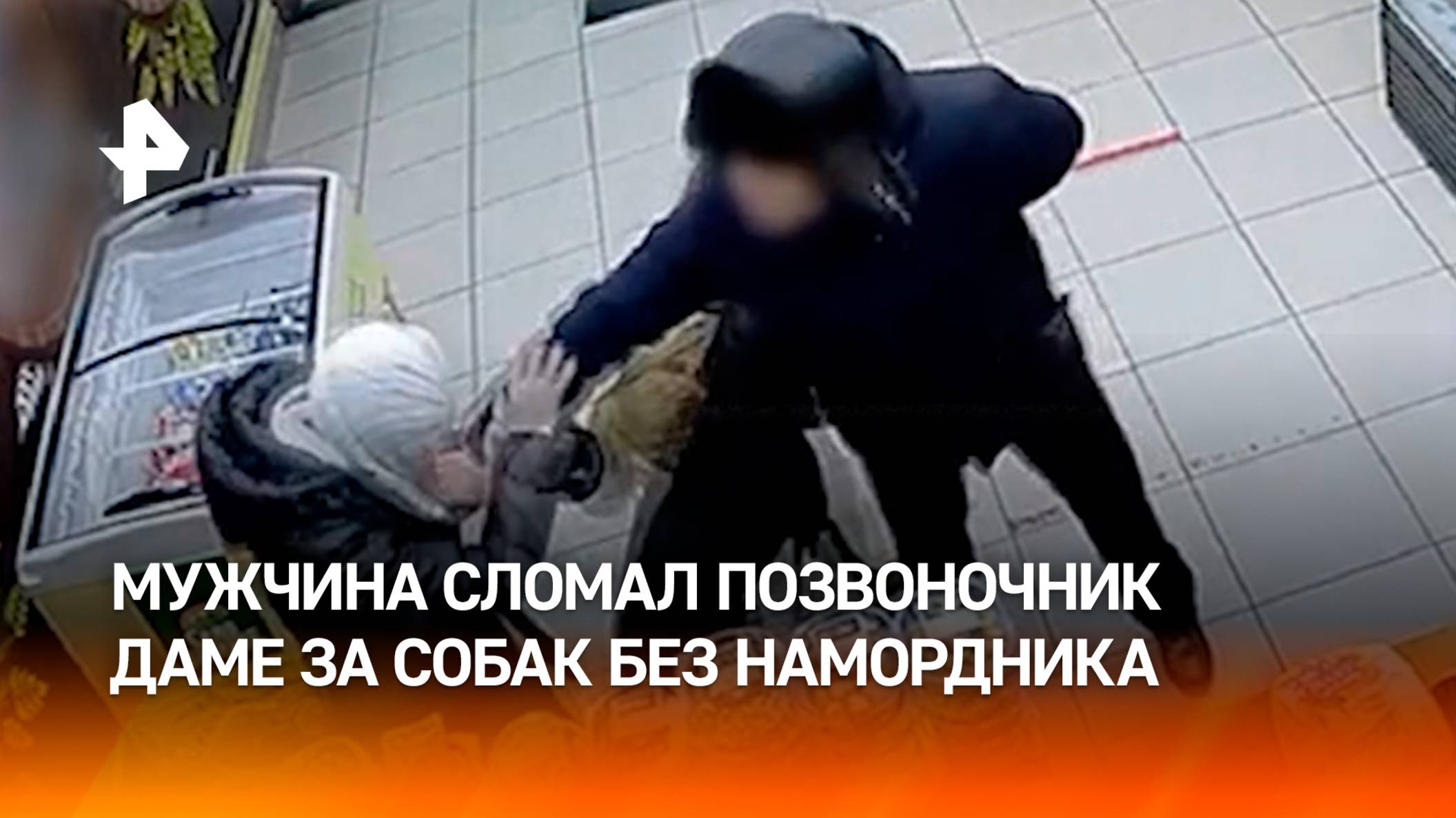 За псов без намордника мужик расправился с боевой собачницей в магазине в Пермском крае