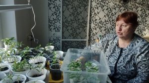 Новости дня. Проблемы со здоровьем.