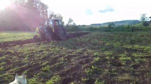 Вспашка огорода трактором Т-40ам ч1