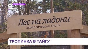 Экологическую тропу восстановили в Ботаническом саду Владивостока