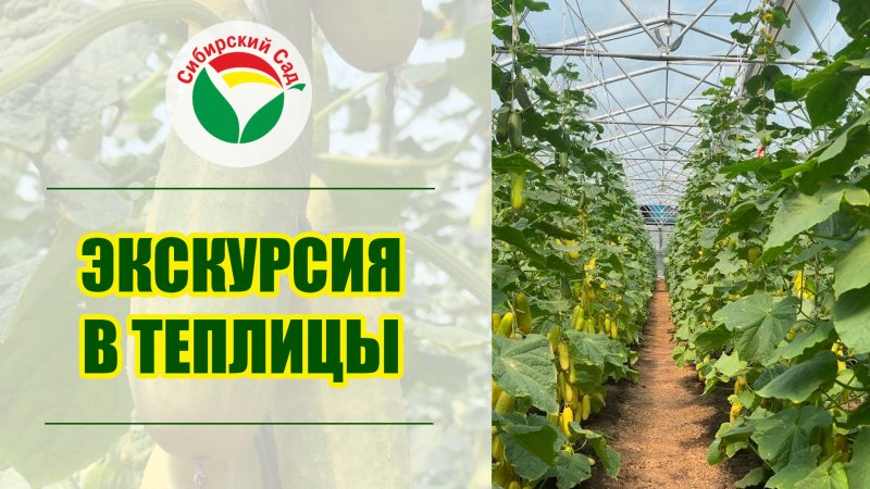 Экскурсия в теплицы