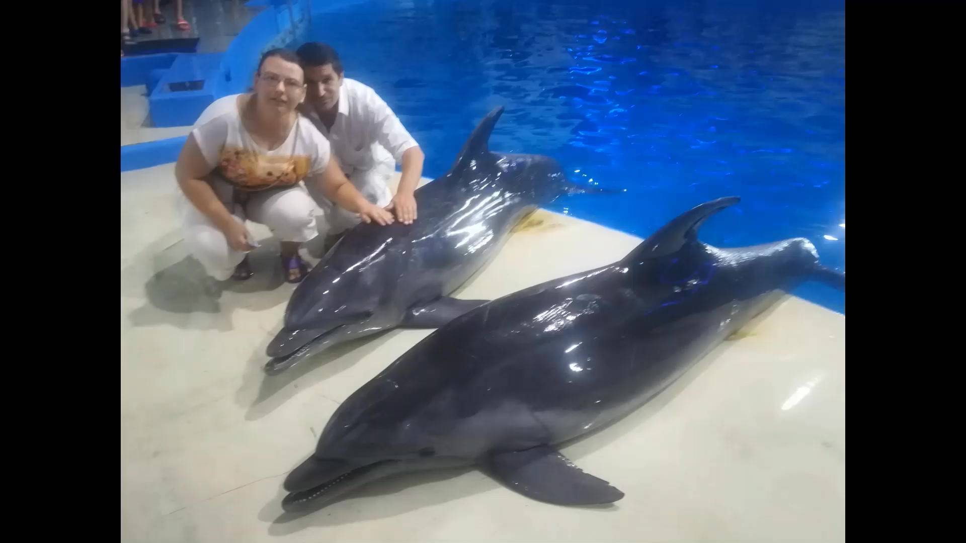 DSCN3400 — копия