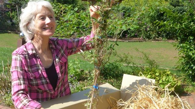 Lotuses, Vajras and Flames: Three Rings of Protection смотреть онлайн