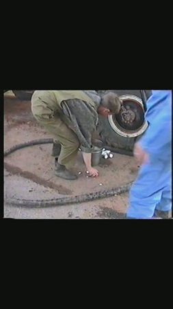 Химия июнь 2003 (Андрей,Костя,Леша)_clip007_clip001