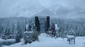 Тест Сезон 1 Серия 1