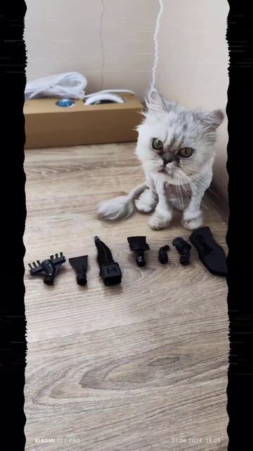 #пароваяшвабра #актуально #уборка #обзорпокупок #товарыдлядома