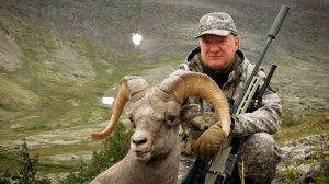 Снежные бараны России. Корякские бараны