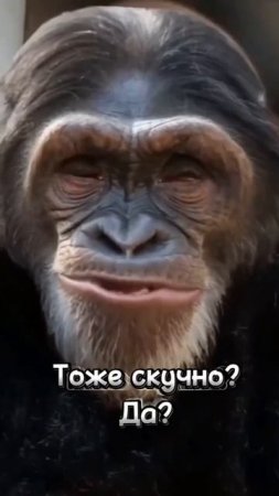 тоже скучно да