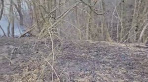 Туапсе 🔥 Удивительная подготовка к пожароопасному периоду окружного главы Бойко !