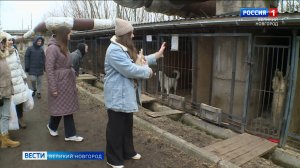 ГТРК СЛАВИЯ Приют для собак - визит сотрудников ЖКХ 21.03.25