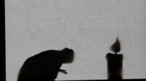 Мультфильм Милостыня