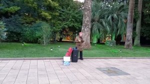 Music Сочи. Музыка, классика