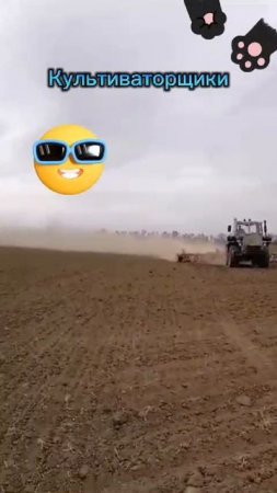 суета в полях