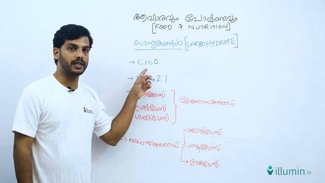 FOOD & NUTRITION смотреть онлайн