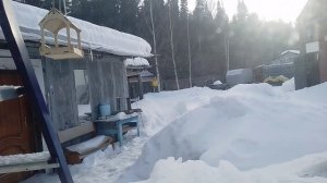 Небольшая метелюшка.