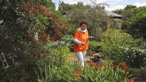 Кто с кем дружит часть 3 I Сад Непрерывного Цветения