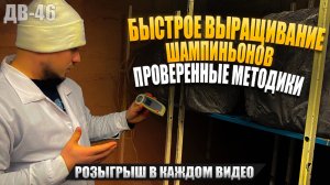 ГРИБНАЯ ФЕРМА | ПУТЬ К УСПЕХУ | ДВ46
