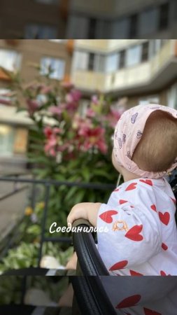 Два мира...