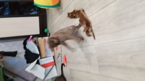 1000067184.mp4