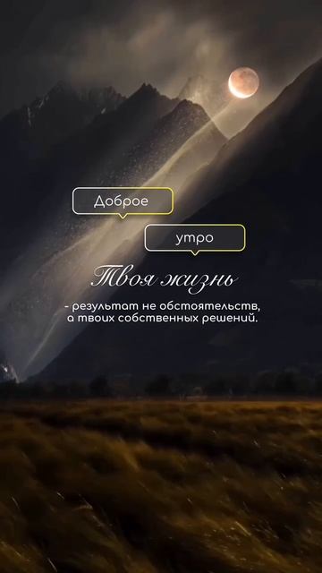 Скачивай БЕСПЛАТНО в моем ТЕЛЕГРАМ канале видео и стикеры для оформления твоих сторис!