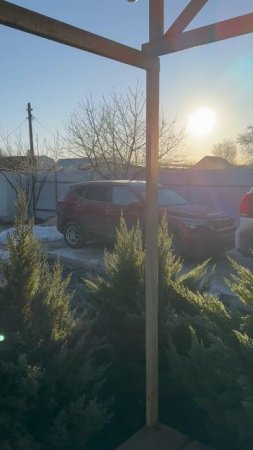 Kia Toyota